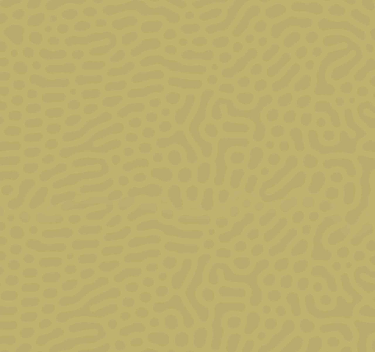 قطر أ بطلاً لمنافسات الكرة الطائرة في الدورة الشاطئية الثانية لدول مجلس التعاون