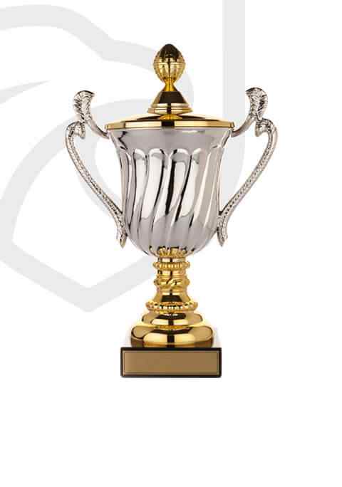 trophy_overlay_02 https://volleyball.qa/wp-content/uploads/2022/11/trophy_overlay_02.jpg